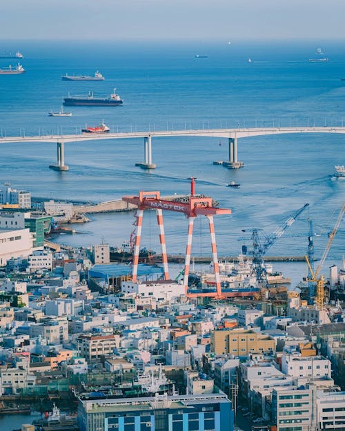 Fotos de stock gratuitas de barcos, busan, ciudad