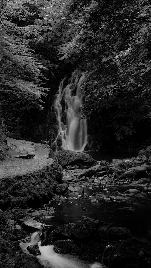 Black and white photograph of a waterfall in the woods