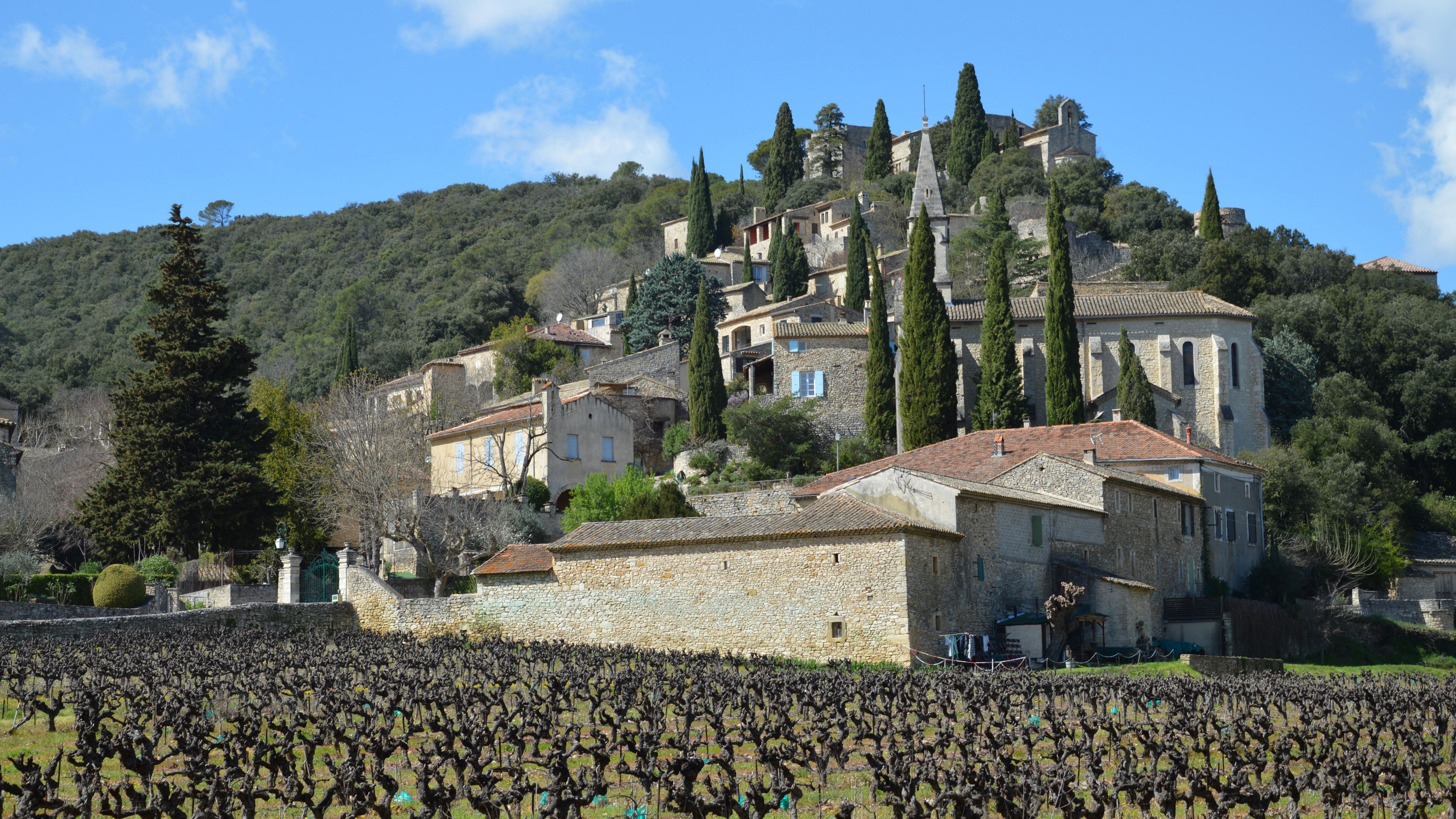 A scenic view of a vineyard in Provence, showcasing the region's artisan dining tours.