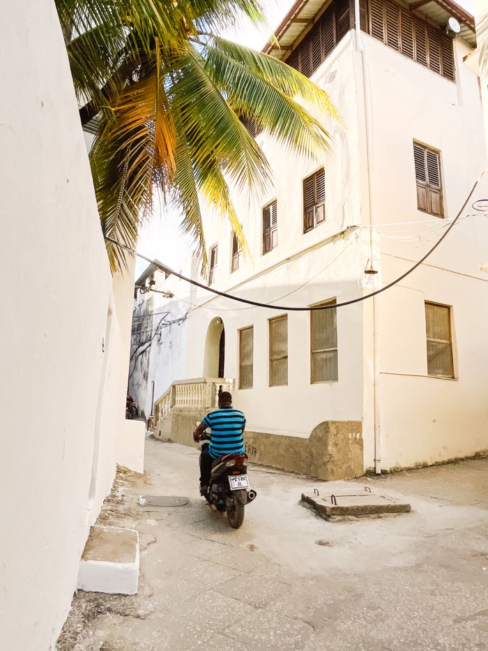 Narrow alleyway lined with tropical palm trees and old buildings in Stone Town