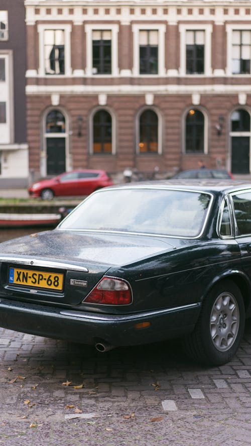 Black Jaguar on a Street 