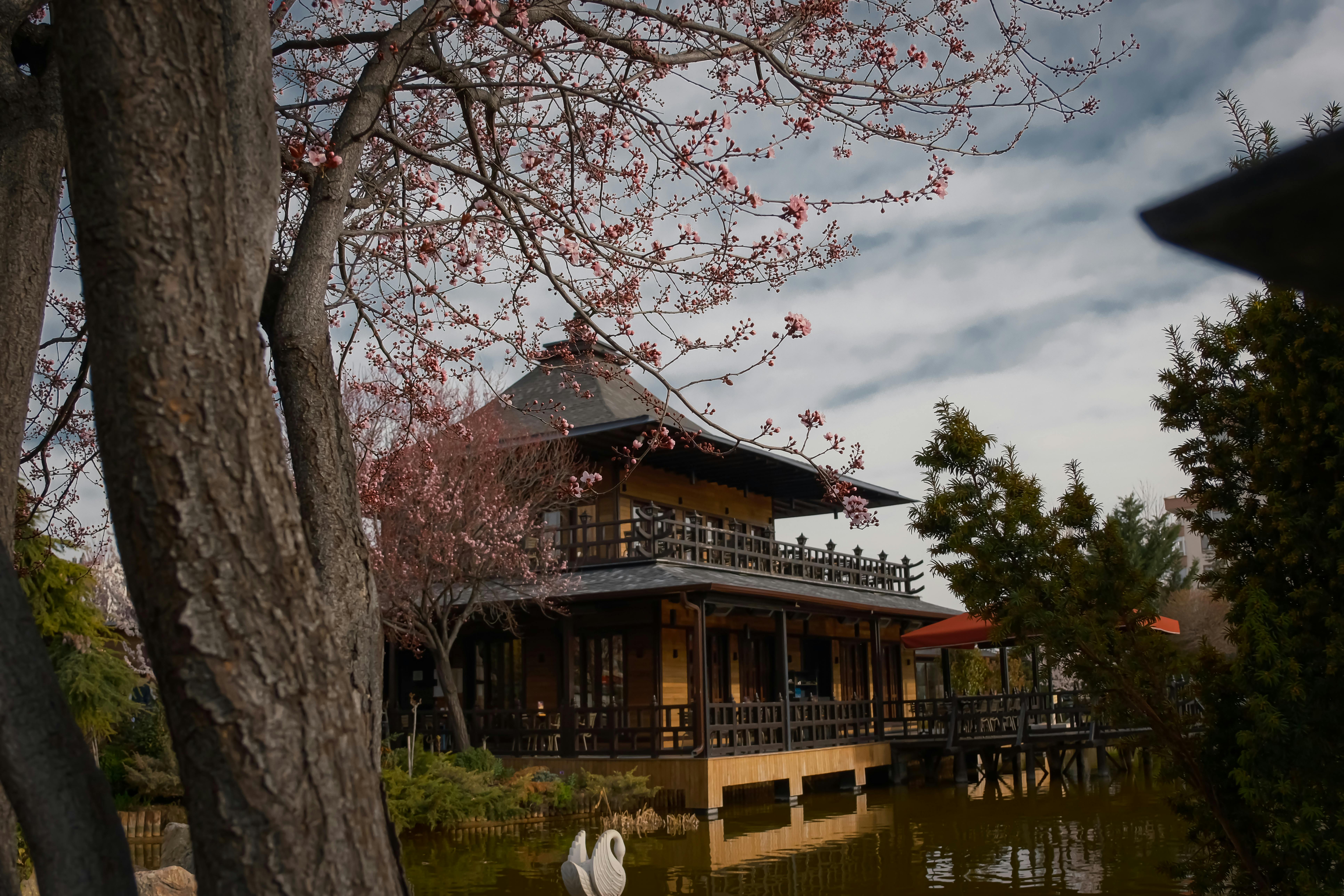 Grădina Japoneză din Herăstrău rămâne fabuloasă după toamnă