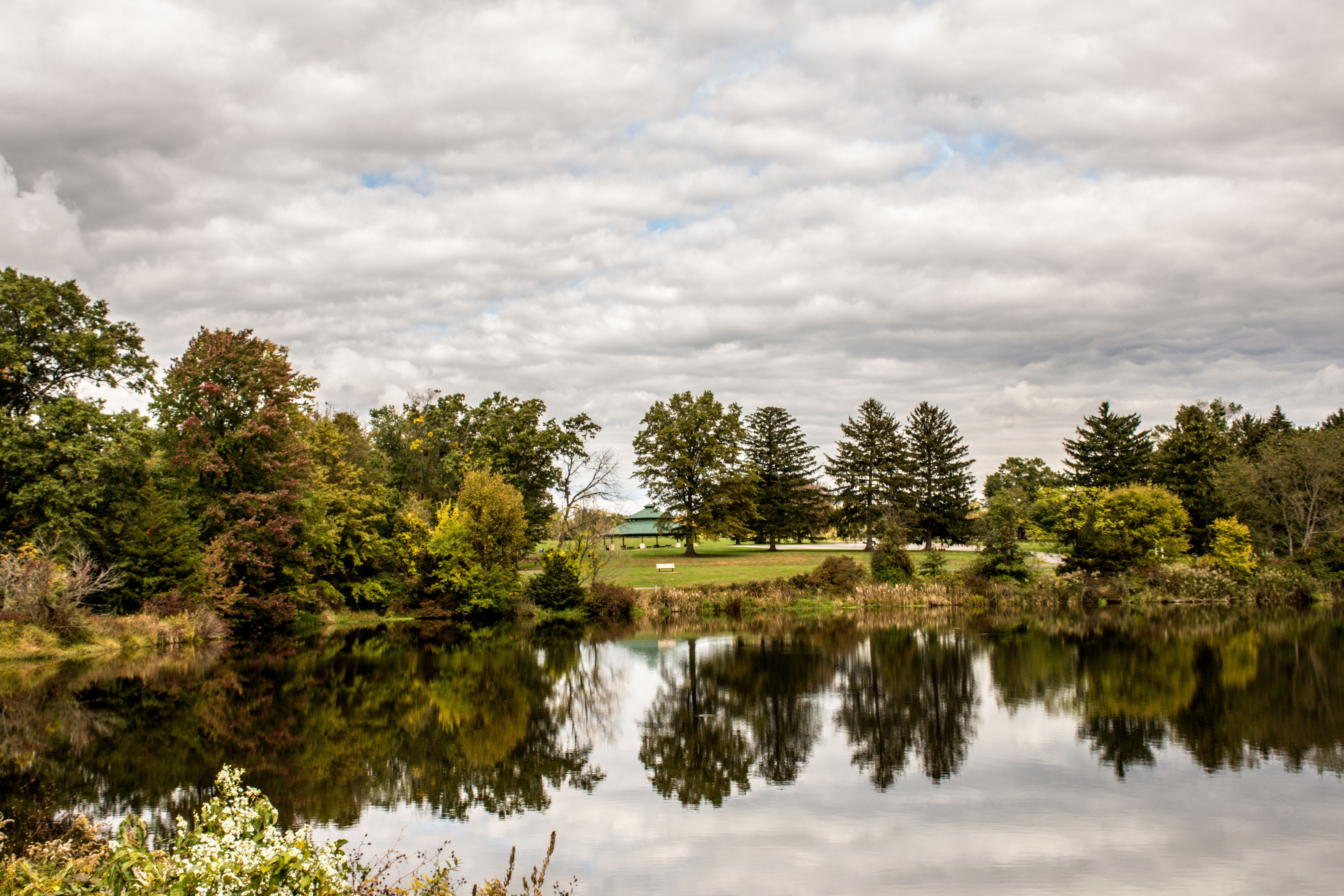 Green trees beside a lake under a cloudy sky