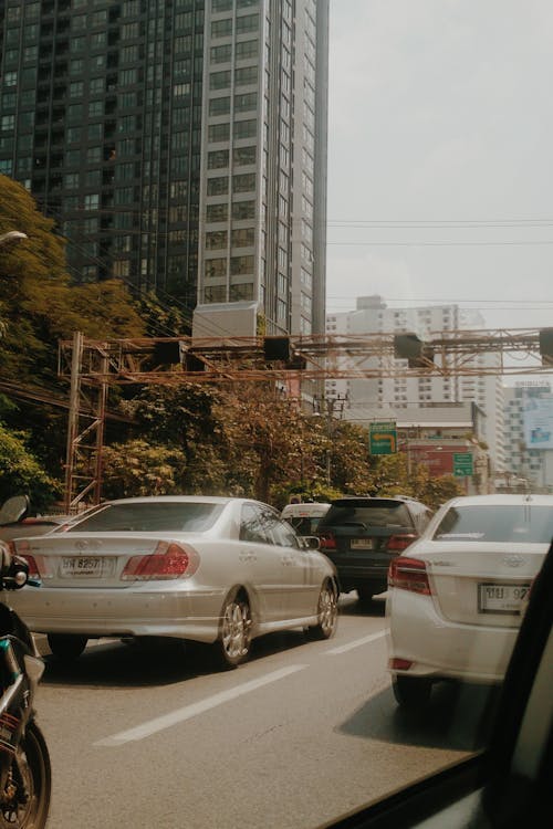 建築物繁忙路旁的車輛