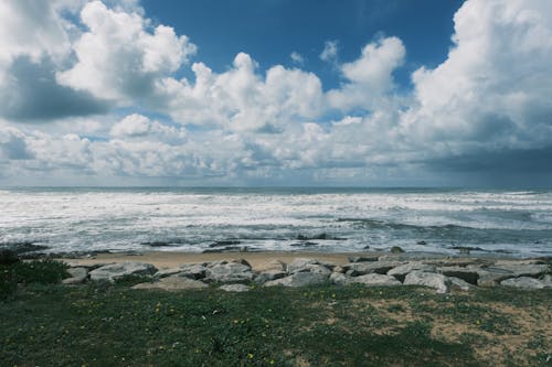 Immagine gratuita di acqua, cloud, estate