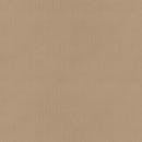 Cardboard Beige Square