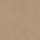 Close-up of the Brown Surface of Kraft Paper