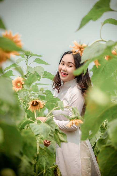 Imagine de stoc gratuită din ao dai, bucurie, câmp