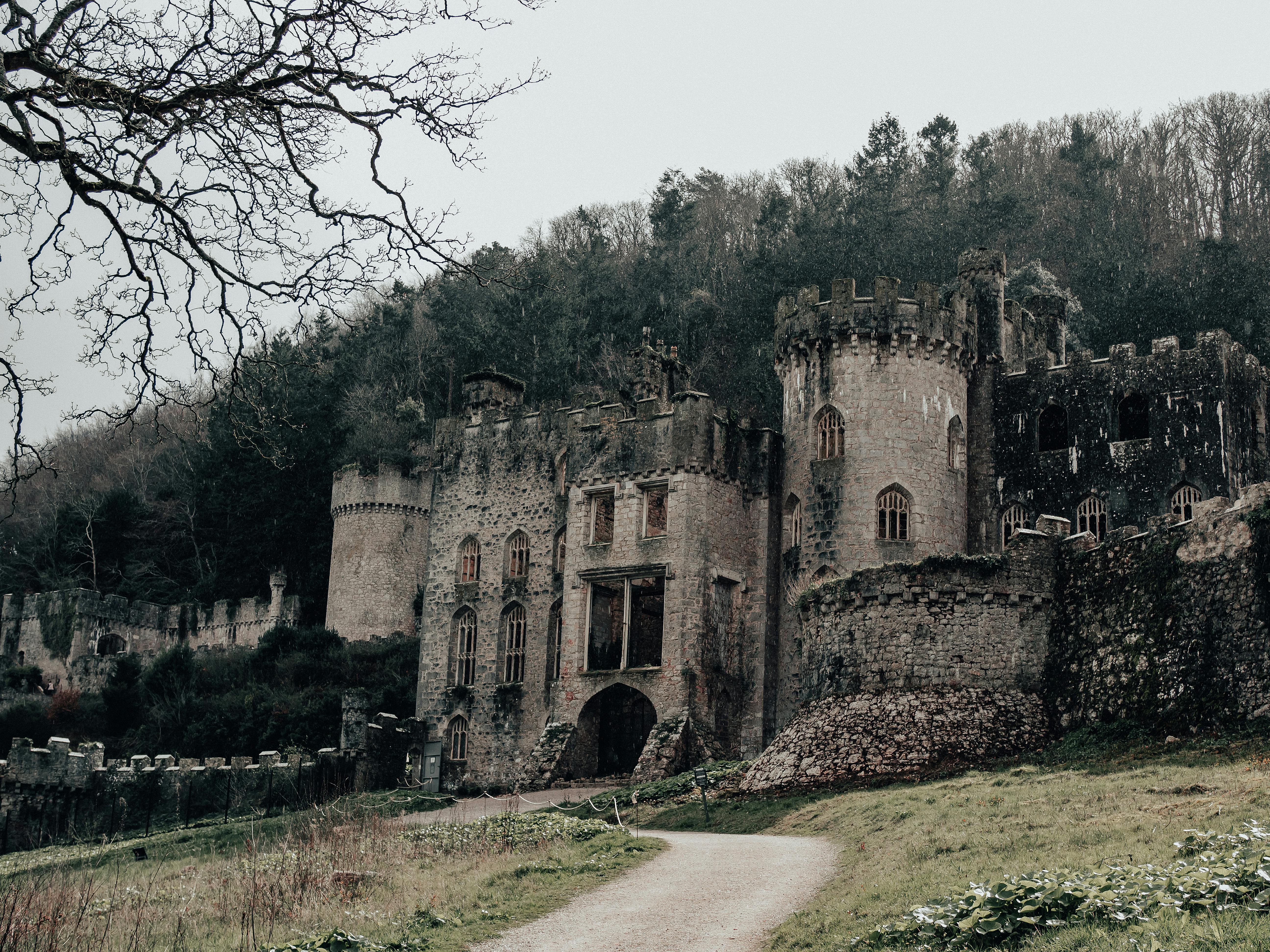 Explore the medieval ruins of Gwrych Castle in Abergele, Wales, set amidst serene forestry.