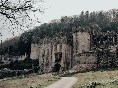 A castle sits on a hillside in the middle of a forest