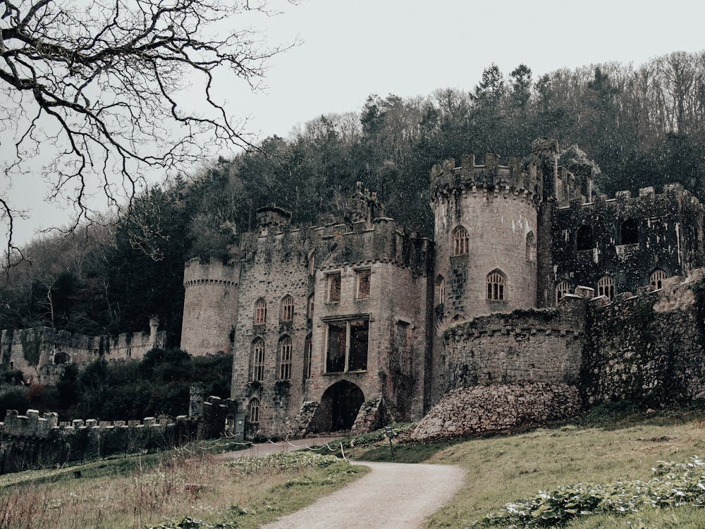 A castle sits on a hillside in the middle of a forest
