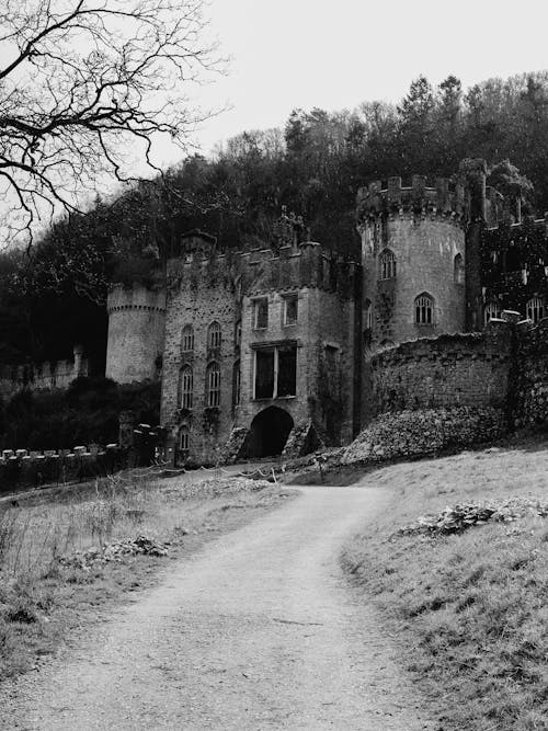 A black and white photo of a castle