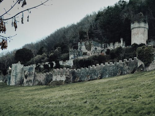 A castle sits on a hillside in the middle of a field