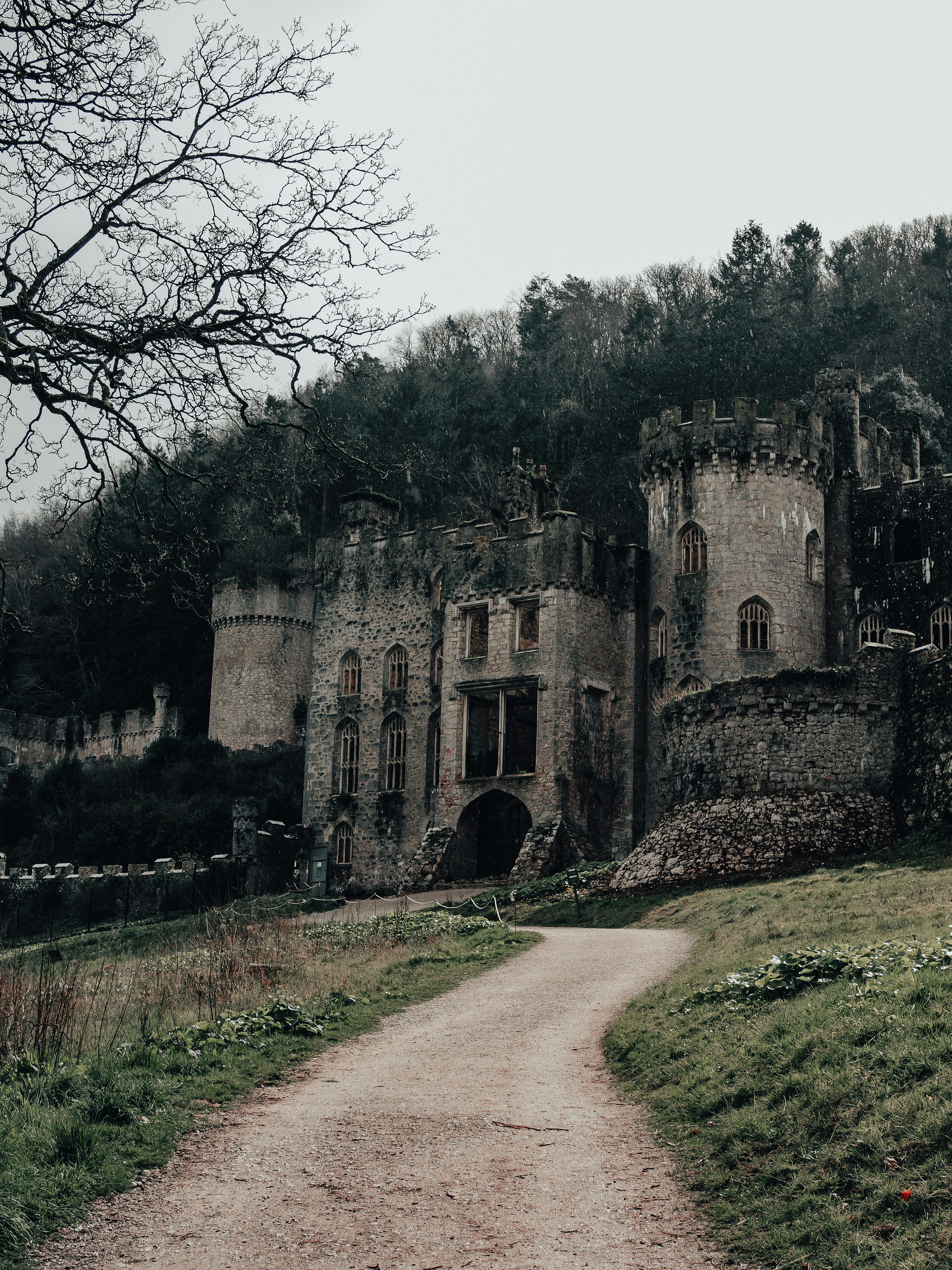Explore the historical Gwrych Castle nestled in the Welsh countryside, a captivating travel destination.