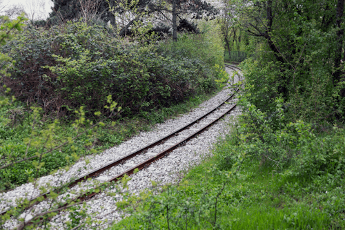 숲속의 철로