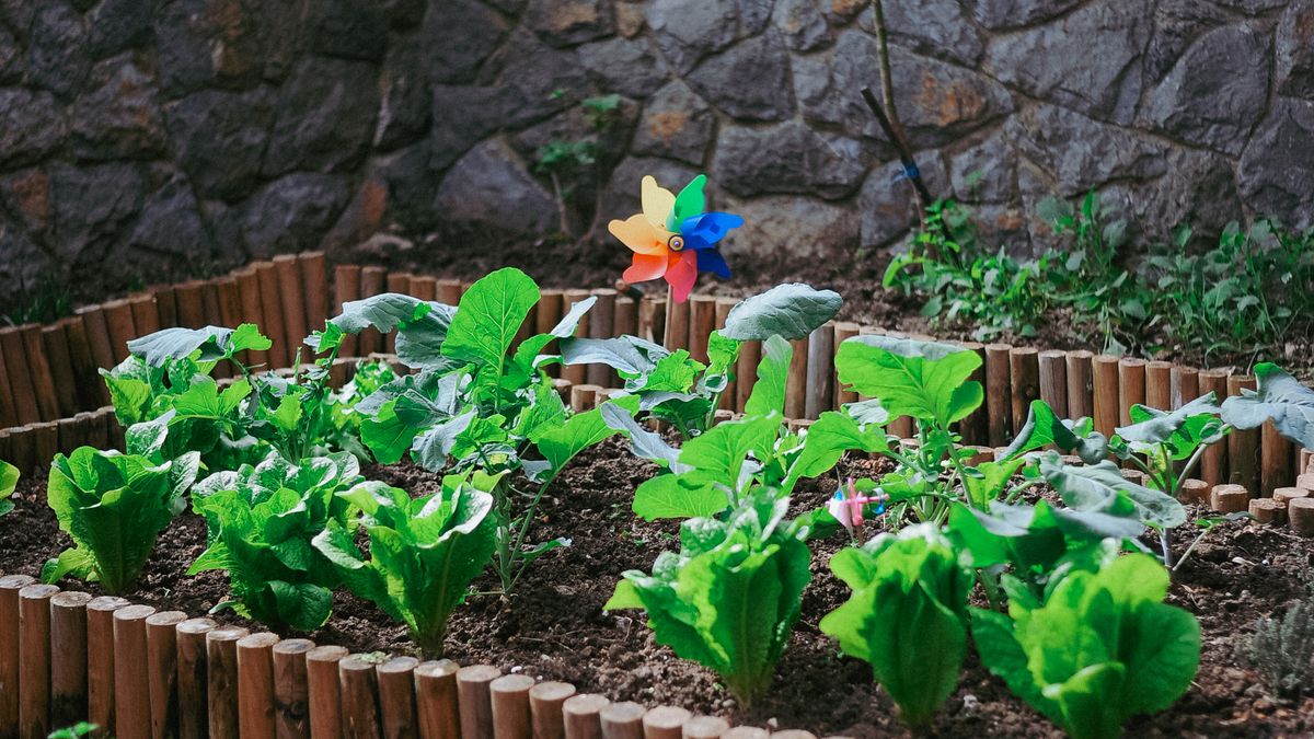 Initiation au jardinage bio avec les enfants - illustration