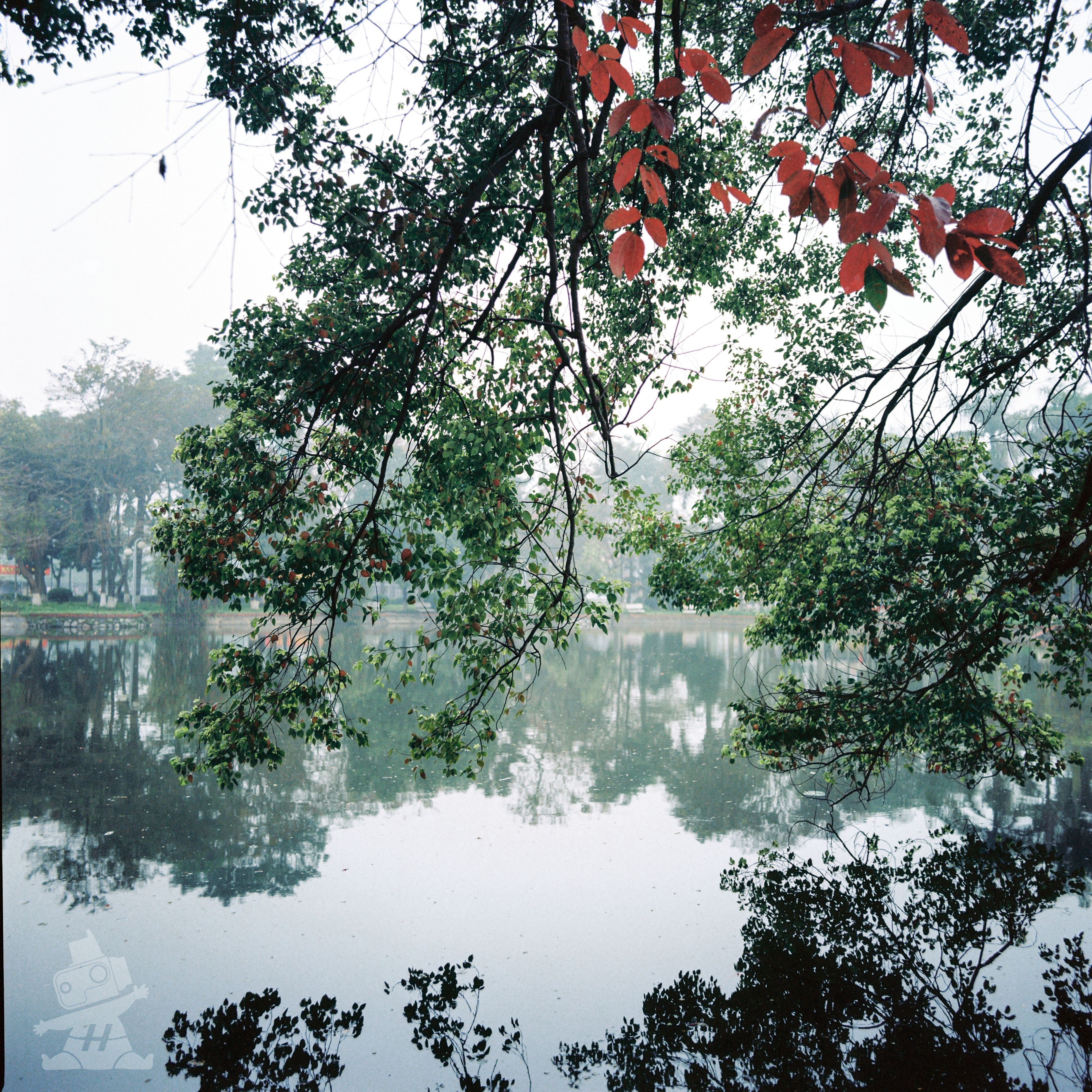 Serene lake scene in Hanoi, Vietnam, with lush green and red foliage reflecting on calm water.