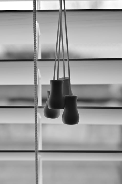 Black and white photo of three hanging pots on a window blind