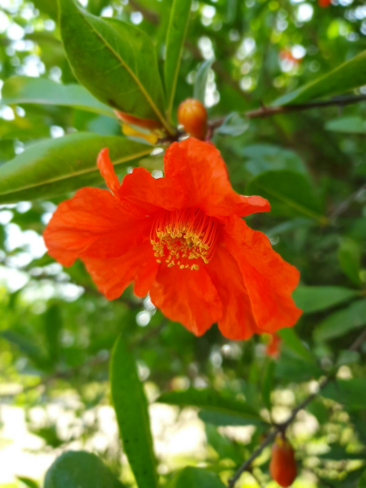 Quel est le prix de la pose de carrelage noir au m² en 2025 ?