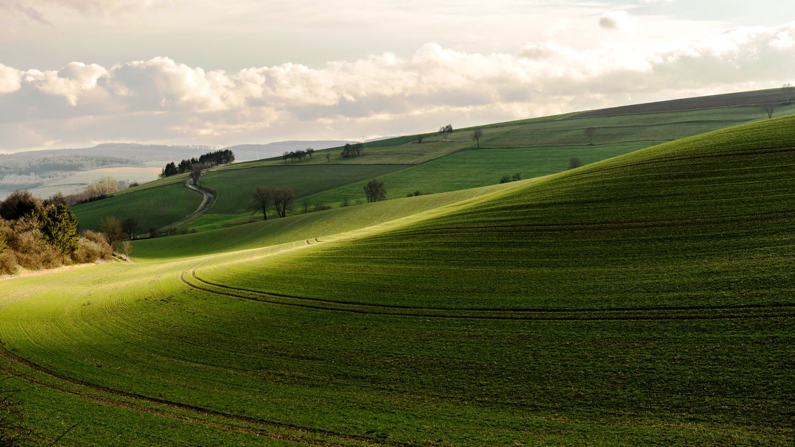 Rolling green hills at dusk — photo by Nicole Weiser on Pexels