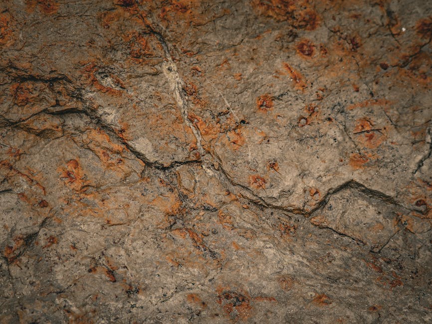 Detailed texture of an eroded rock surface showing natural cracks and sediment layering.