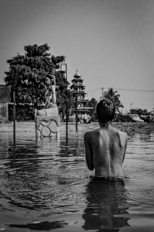 Foto profissional grátis de água, Buda, budista