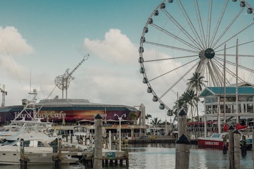 碼頭, 邁阿密, 邁阿密市場 的 免費圖庫相片