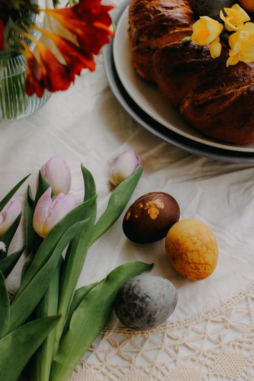 Free Colorful Easter eggs and fresh tulips on a table with holiday bread, creating a festive spring scene. Stock Photo