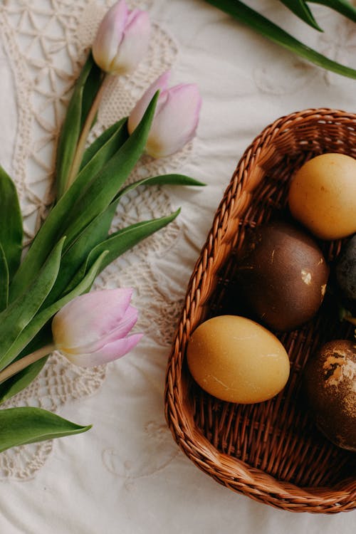 바구니, 봄, 부활절 계란의 무료 스톡 사진