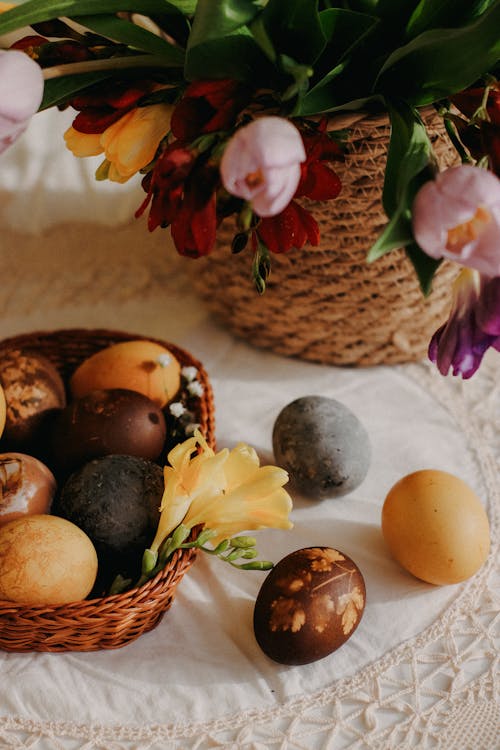 Kostnadsfri bild av ägg, blad, blomma