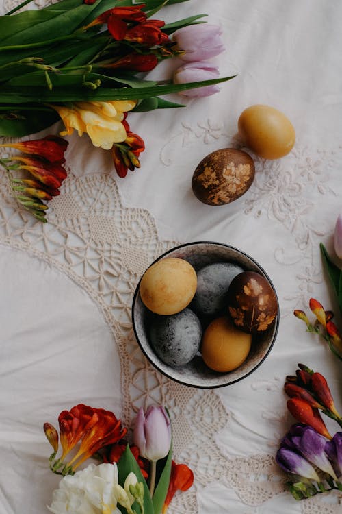 계란, 꽃병, 나무의 무료 스톡 사진