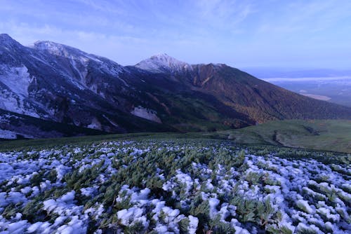 alan, çim, dağ silsilesi içeren Ücretsiz stok fotoğraf