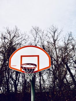 Basketball hoop set outdoors with bare trees in the background during winter.
