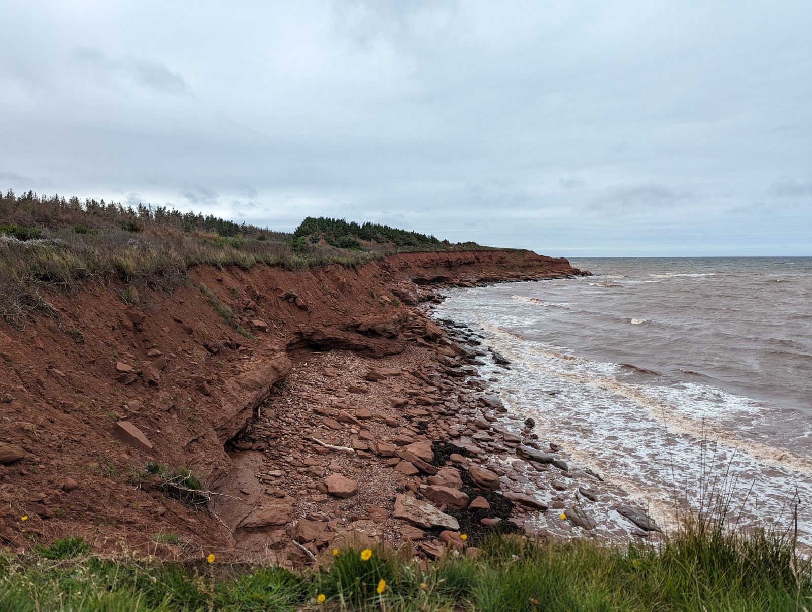 Natural shoreline bank along a Nova Scotia waterfront