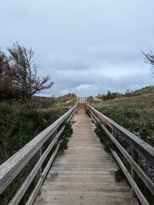 A wooden walkway leading to the beach