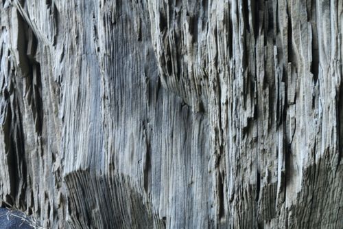 Free stock photo of lines, rock wall, textured Stock Photo
