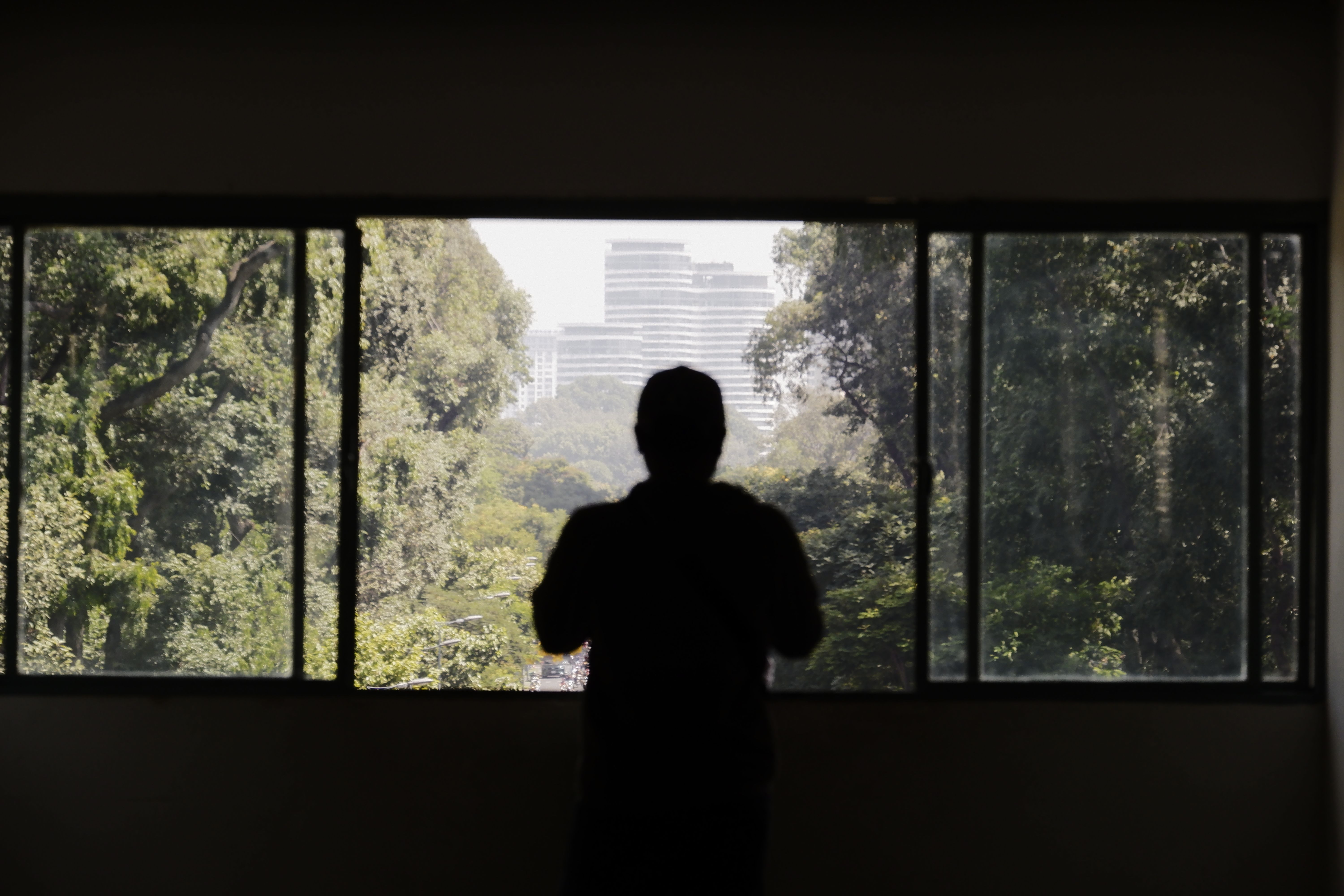 Silhouette of a Person Standing in front of a Window · Free Stock Photo