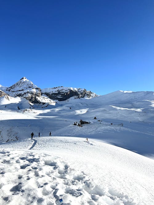 A group of people walking on a snowy mountain