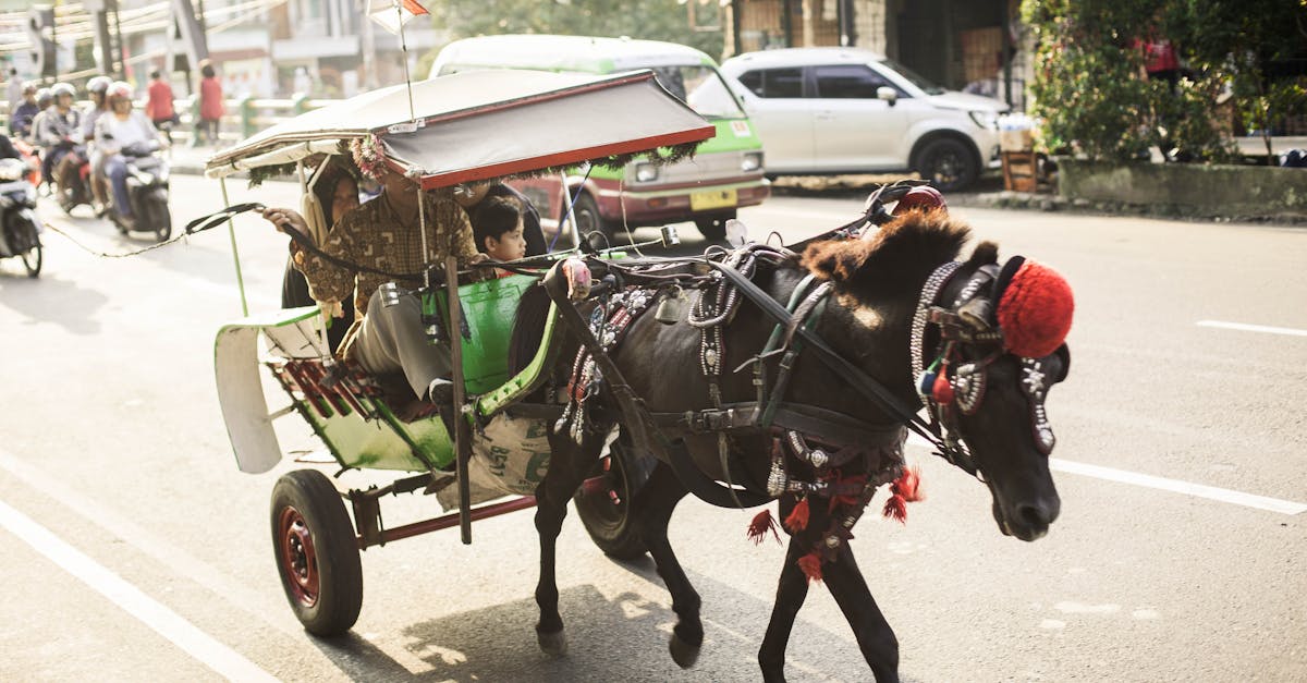How fast is a horse and cart