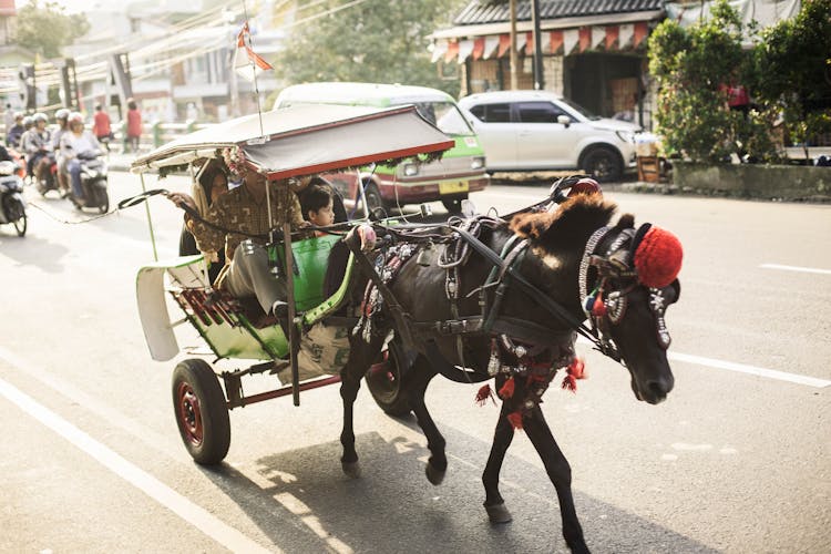 Woman And Child Riding Black Horse Carriage