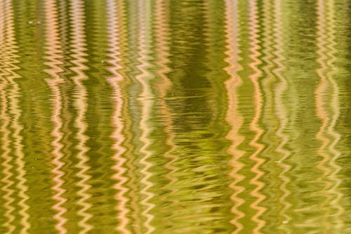 A close up of the water with ripples