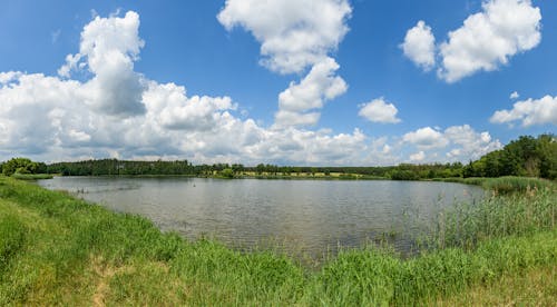 A panoramic view of a lake and grassy area