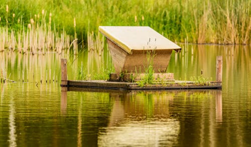 A beehive sits on top of a wooden dock
