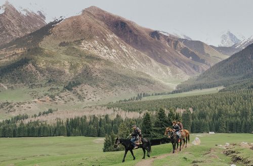 Free Two men horseback riding through stunning mountain landscape and forests. Stock Photo
