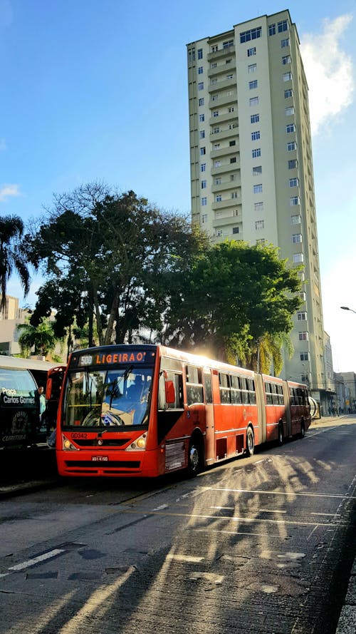 Buenos Días   Autobús
