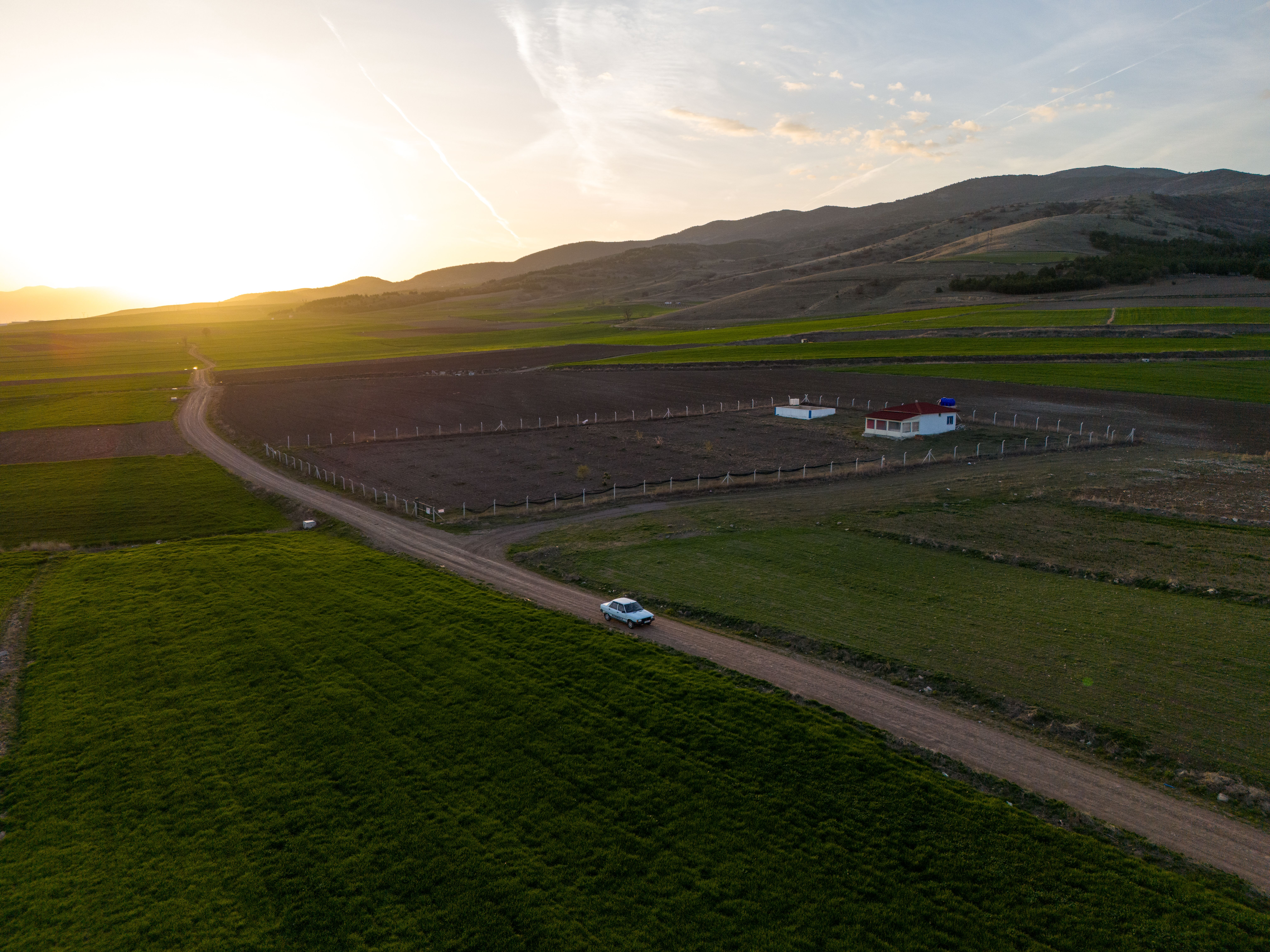 Why Is American Farmland Suddenly Being Planted With Legumes?