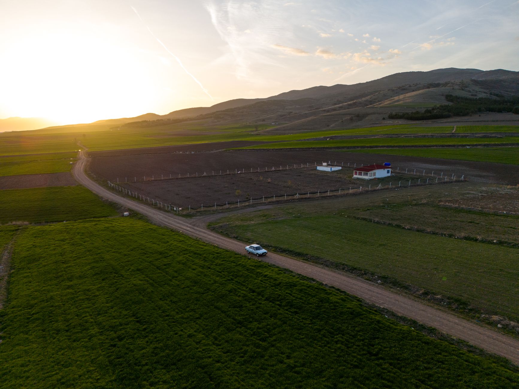 Why Is American Farmland Suddenly Being Planted With Legumes?
