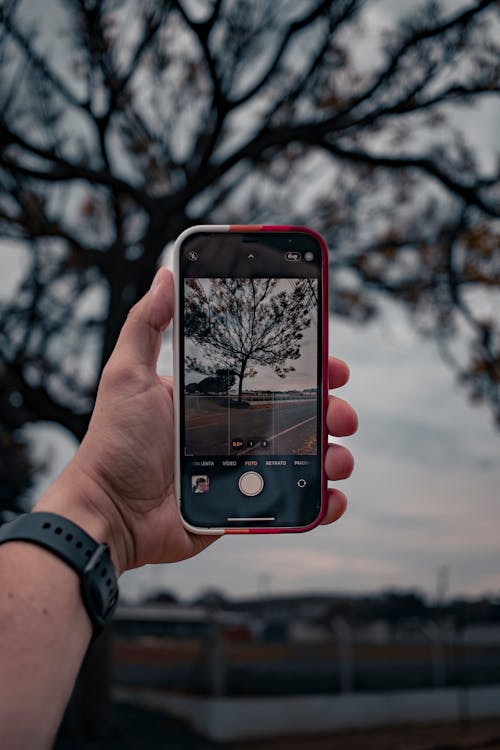 Immagine gratuita di albero, focus selettivo, mani mani umane