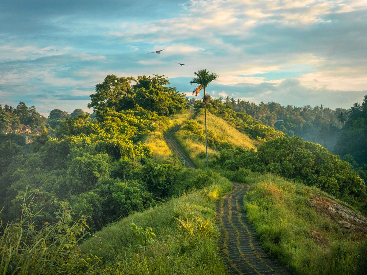 25 Day 200 Hour Tantric Hatha Yoga Teacher Training in Ubud, Bali 1