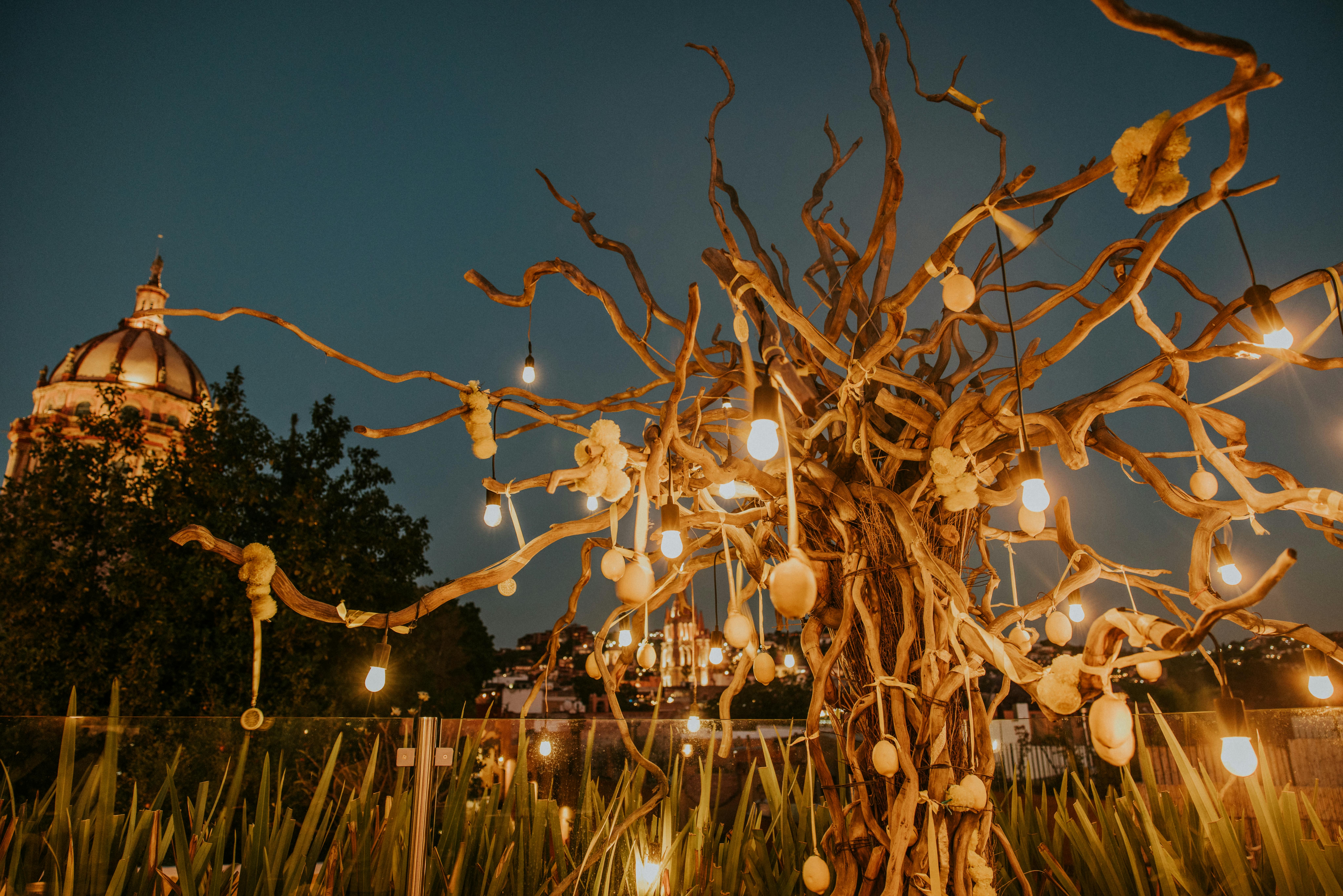 San Miguel Downtown Discovery